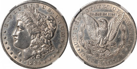 1885-CC Morgan Silver Dollar. Unc Details--Obverse Planchet Flaw, Cleaned (NGC).

PCGS# 7160. NGC ID: 254S.

Estimate: $ 400