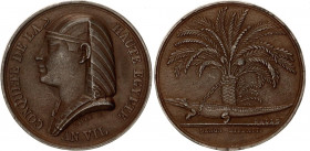 France Сonquest of Upper Egypt Medal 1799 
Julius 694; Zeitz 9; Silvered Bronze 34.87 mm; 20.48g.; by A. Galle