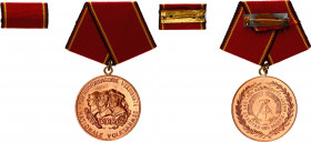 Germany - DDR Medal of Merit of the National People's Army
Bronze; (Verdienstmedaille der Nationalen Volksarmee)