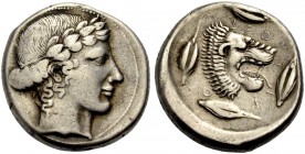 SIZILIEN. LEONTINOI. Tetradrachmon, 450-440 v. Chr. Apollonkopf n.r., das Haar in einen Lorbeerkranz hochgenommen. Rv. LΕΟΝΤΙΝΟΝ Löwenkopf n.l., gerah...