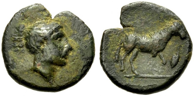 SIZILIEN. NAKONA. AE Hexas, 5. Jh. v. Chr. Nymphenkopf mit hochgebundenen Haaren...