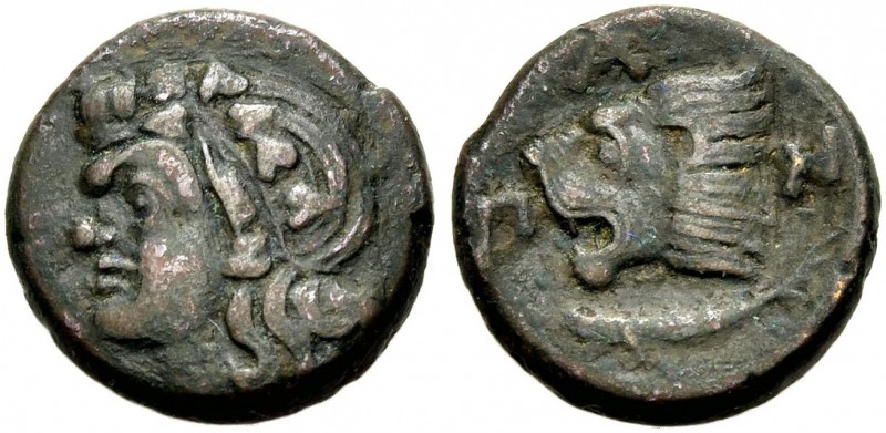 TAURISCHER CHERSONES. PANTIKAPAION. Bronze, 350-300 v. Chr. Kopf eines unbärtige...