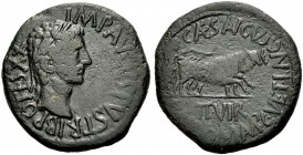 SPANIEN. CAESARAUGUSTA (ZARAGOZA). Augustus, 27 v. Chr. -14 n. Chr. Bronze der Duovirn Cn. Dom. Ampianus und C. Vet. Lancia, 4-3 v. Chr. IMP AVGVSTVS ...