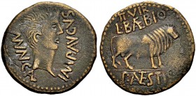 SPANIEN. CALAGURRIS IULIA. Augustus, 27 v. Chr. -14 n. Chr. As. IMP AVGVS - MVN.CAL Kopf n.r. Rv. II.VIR/L.BAEBIO/P. ANTESTIO Stier n.r. 10,95 g. RPC ...