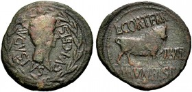 SPANIEN. CELSA (COLONIA VICTRIX IULIA CELSA). Augustus 27 v. Chr. -14 n. Chr. Bronze der Duovirn L. Cornelius Terrenus und M. Iunius Hispanus. C V I C...