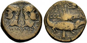 GALLIEN. NEMAUSUS. Augustus, 27 v. Chr. -14 n. Chr. As, 10-14. IMP / DIVI F Kopf des Agrippa mit Rostralkrone n. l. (Kopf des Augustus n.r.) Rv. (COL ...