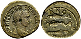 THRAKIEN. ANCHIALOS. Maximinus I. Thrax, 235-238. Bronze. Kopf mit L. n.r., l. Schulter drap. Rv. ΑΓΧ-Ι-Α-ΛЄΩΝ Delphin n.r. schwimmend, darüber Thunfi...