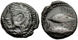 HISPANIEN. GADES (GADIR). Bronze, 1. Jh. v. Chr. Kopf des unbärtigen Herakles-Melqart im Löwenfell n.l., davor Keule. Rv. Zwei Thunfische n.l., im Fel...