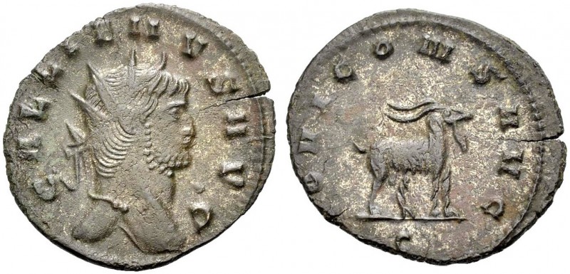 KAISERZEIT. Gallienus, 253-268. Antoninian. Gep. Büste mit Strkr. GALLIENVS AVG ...