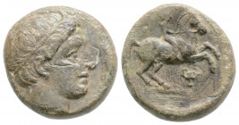 Bronze AE
Macedon, Philip II (c. 359-336 BC), Diademed of Apollo right / youth on horseback right; kantharos below
18 mm, 5,27 g
SNG ANS 887
