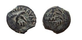 Prutah Æ
Judaea, 52-59, Procurator Antoninus Felix, Crossed palms, date below
Meshorer 342; Hendin 1347