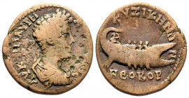 Bronze AE
Mysia, Kyzikos, Commodus (180-192)
25 mm, 7,13 g