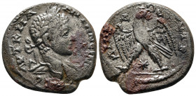 Tetradrachm BI
Seleucis and Pieria, Elagabal (218-222)
26 mm, 11,30 g