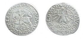 ½ Groat AR
Kingdom of Poland, Sigismund II, 1564