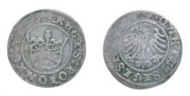 ½ Groat AR
Kingdom of Poland, 1510