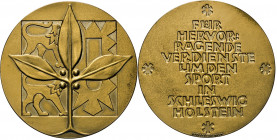 HAMBURG - LÜBECK - SCHLESWIG-HOLSTEIN
SCHLESWIG-HOLSTEIN
Bundesland. Bronze-Sportmedaille (neueste Ausführung von Hofstätter, Bonn) FÜR/ HERVOR/ RAG...