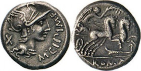 ANTIKE WELT
Römische Republik
M. Cipius M.f. Denar, 115/114, Rom. Romabüste mit Flügelhelm, links Wertz. X, rechts M.CIPIMF. Rs. Victoria mit Palmzw...