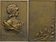 MEDAILLEN und PLAKETTEN
AUSLÄNDISCHE MEDAILLEN
FRANKREICH.
Bronzeplakette o.J. (1901, v. S.E. Vernier) „Republique Francaise“. Brustbild der Gallia...