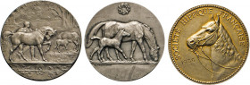 MEDAILLEN und PLAKETTEN
AUSLÄNDISCHE MEDAILLEN
FRANKREICH.
2 Silber- und eine Goldbronze-Preismedaille für Pferdezucht (Hippique francaise). Paris ...