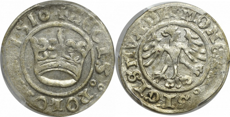 Sigismund I the Old, Halfgroat 1510, Cracow - PCGS AU58 Okołomenniczy egzemplarz...