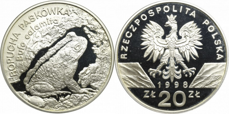 III RP, 20 złotych 1998 Ropucha Paskówka Egzemplarz w stanie menniczym. Referenc...