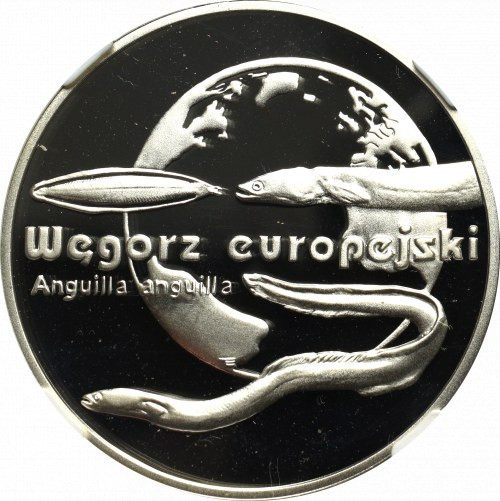 III RP, 20 złotych 2003 Węgorz europejski - NGC PF 69 Ultra Cameo Menniczy egzem...