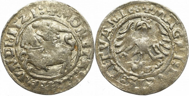 Sigismund I the Old, Halfgroat 1521, Vilnius Piękny egzemplarz z połyskiem i pat...