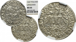 Sigismund II Augustus, Halfgroat 1547, Vilnius - NGC MS65 MAX