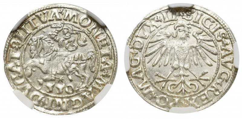 Sigismund II Augustus, Halfgroat 1550, Vilnius - LI/LITVA NGC MS64 Menniczy egze...