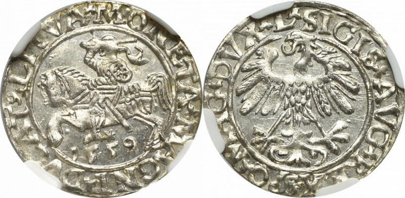 Sigismund II Augustus, Halfgroat 1559, Vilnius - NGC MS65 Menniczy, wyselekcjono...