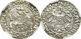 Sigismund II Augustus, Halfgroat 1559, Vilnius - NGC MS65