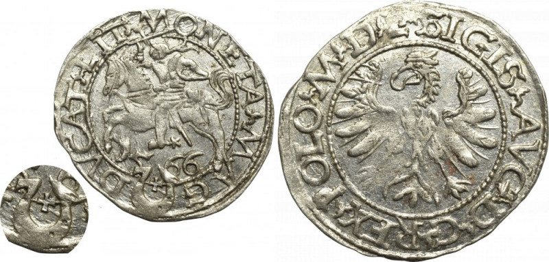 Sigismund II Augustus, Halfgroat 1566, Tiktin - L/LIT Absolutnie menniczy egzemp...