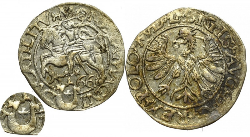 Sigismund II Augustus, Halfgroat 1566, Tiktin - L/LIT Piękny egzemplarz o wyśmie...