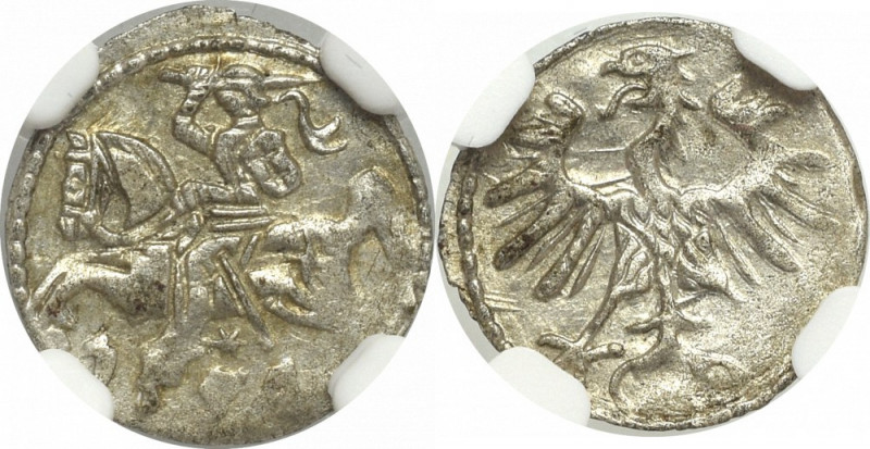 Zygmunt II August, Denar 1554, Wilno - NGC MS63 Wyśmienity, menniczy egzemplarz,...