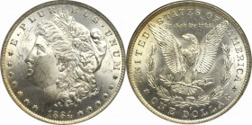 USA, Morgan dollar 1884 - NGC MS64