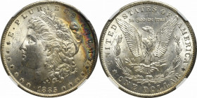 USA, Morgan Dollar 1885 - NGC MS63