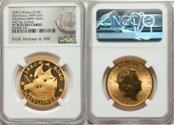 Elizabeth II gold Proof "Mayflower 400th Anniversary" 100 Pounds (1 oz) 2020 PR70 Ultra Cameo NGC, KM-Unl. Mintage: 500. First day of Issue. AGW 1.000...
