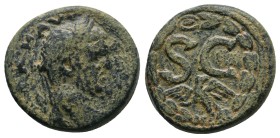 Syria, Seleucis and Pieria. Antiochia ad Orontem. Caracalla. A.D. 198-217. AE 7.81gr