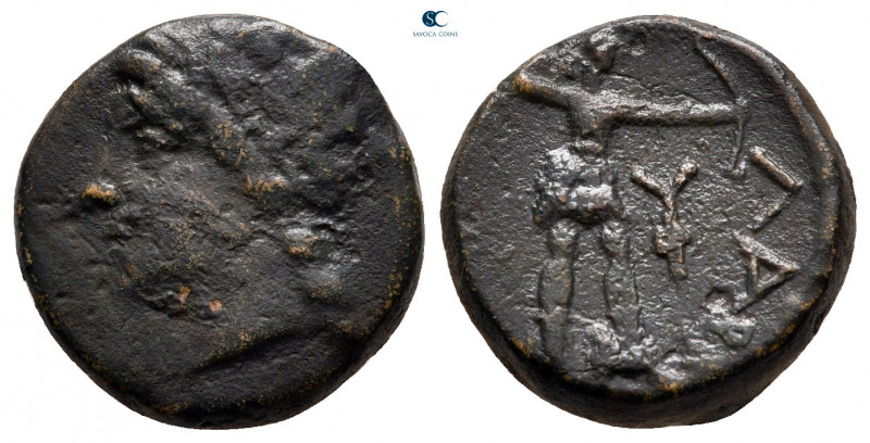 Thessaly. Larissa circa 250-200 BC. 
Bronze Æ

16 mm, 4,27 g



very fine...