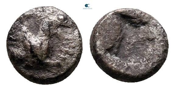 Ionia. Teos circa 540-500 BC. 
Tetartemorion AR

6 mm, 0,24 g



very fin...