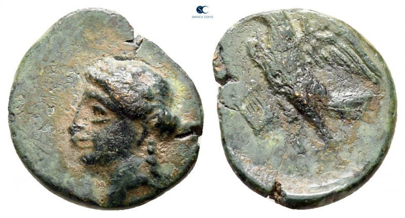 Caria. Halikarnassos circa 200-0 BC. 
Bronze Æ

12 mm, 1,05 g



very fin...