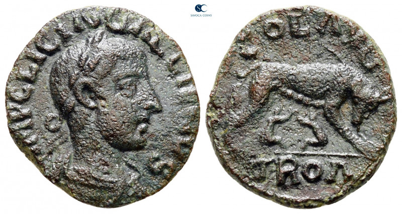 Troas. Alexandreia. Gallienus AD 253-268. 
Bronze Æ

19 mm, 4,15 g



ver...