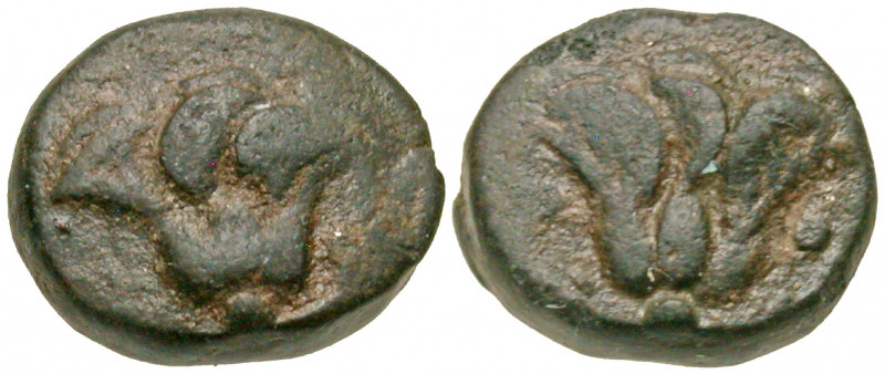 Islands off Caria, Rhodos. Rhodes. Ca. 394-304 B.C. AE 10 (10.45 mm, 1.57 g, 1 h...