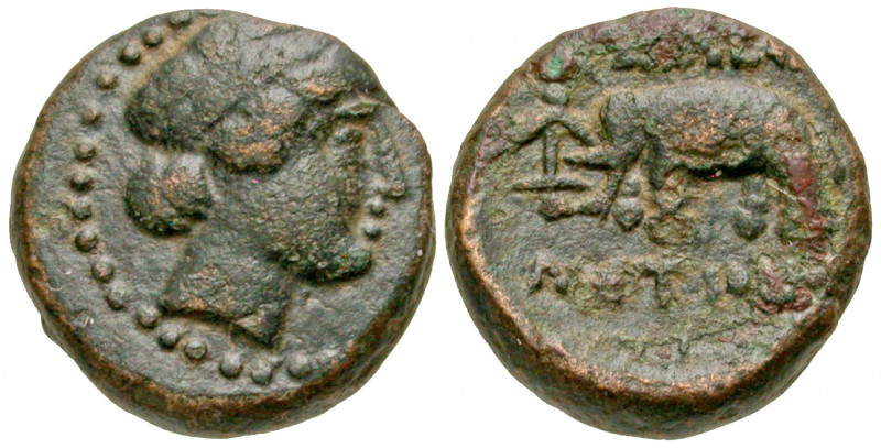 Seleukid Kingdom. Seleukos I Nikator. 312-281 B.C. AE 14 (15.89 mm, 5.53 g, 12 h...