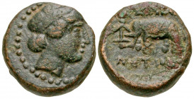 Seleukid Kingdom. Seleukos I Nikator. 312-281 B.C. AE 14 (15.89 mm, 5.53 g, 12 h). Winged head of Medusa right / ΒΑΣΙΛΕΩ[Σ] / ΣΕΛΕΥΚ[ΟΥ], titles horiz...