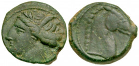 Zeugitania, Carthage. 300-264 B.C. AE shekel (19.3 mm, 5.11 g, 5 h). Carthage or Sardinia mint. Wreathed head of Tanit left / Horse's head right. MAA ...