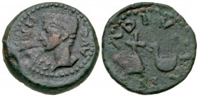 Hispania, Julia Traducta. Augustus. 27 B.C.-A.D. 14 AE 20 (19.6 mm, 5.46 g, 7 h). [PERM CA]ES AVG, bare head of Augustus left / IVLIA / TRAD, apex and...