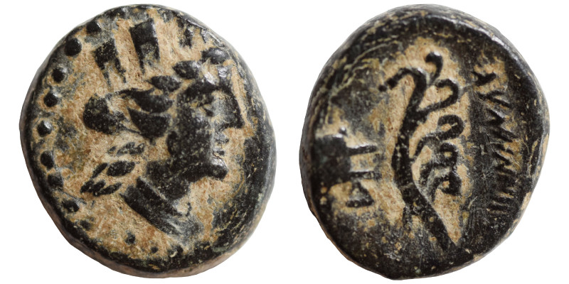 PHOENICIA. Arados, 2nd-1st century BC. Ae (bronze, 1.76 g, 12 mm). Turreted head...