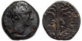 SELEUKID KINGS of SYRIA. Demetrios I Soter, 162-150 BC. Ae (bronze, 2.77 g, 15 mm), Tyre. Diademed head of Demetrius I right. Rev. BAΣΙΛΕΩΣ [ΔHMHTPIOY...