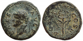 SYRIA, Seleucis and Pieria, Antioch. Domitian, as Caesar, 69-81. Quadrans (bronze, 2.75 g, 16 mm), Rome mint, for Syria, 74. CAES AVG F Laureate head ...
